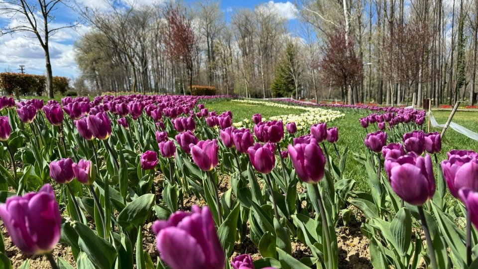 Simpozion despre flori organizat la Mărăcineni