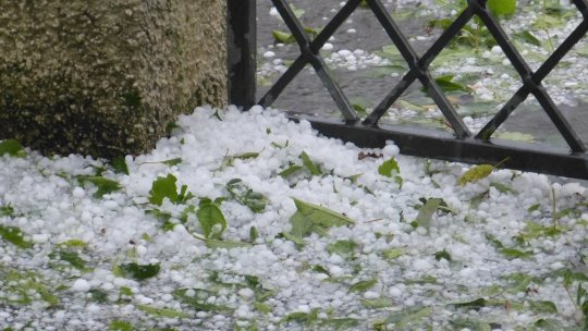 Grindina şi vijeliile au făcut ravagii în Dobrogea