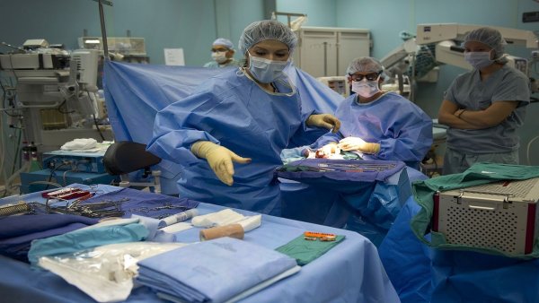 Progres în medicină: Al doilea transplant reușit de rinichi de porc la un pacient