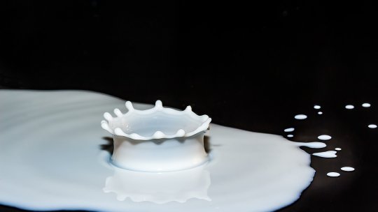 Intoleranța la lactoză... Ce poți mânca?