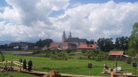 Măsuri de siguranță înaintea pelerinajului de la Şumuleu Ciuc. Ursoaică cu pui alungată