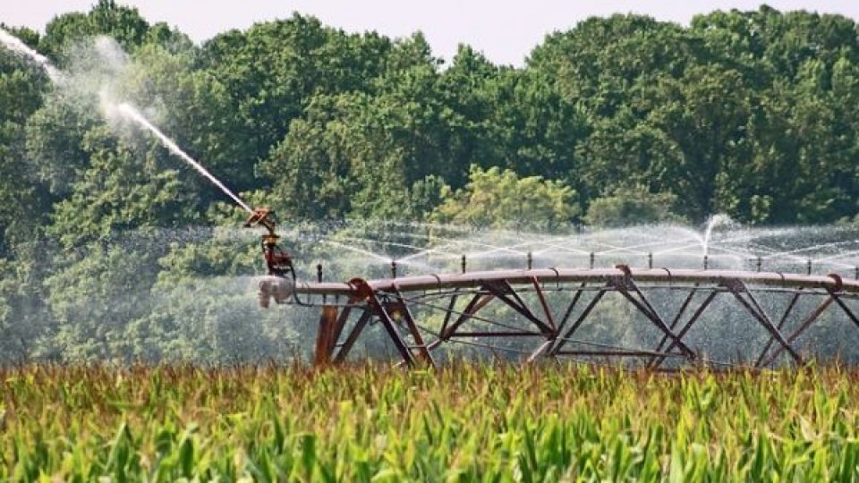 Agricultura ecologică în România: Doar 5% din terenuri sunt dedicate culturilor bio