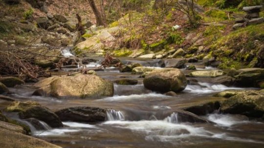 Parcurile naționale și naturale din România, locuri de o frumusețe rară