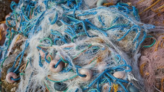 Grecia va interzice pescuitul folosind metode care distrug ecosfera