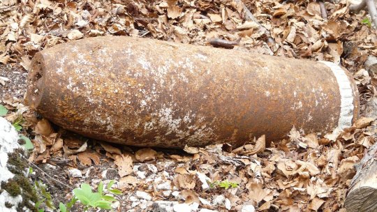Iaşi: Aproape 50 de bombe de aruncător din Al Doilea Război Mondial, descoperite într-o pădure