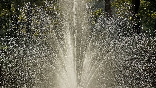 Fântână arteziană din Arad, transformată în spălătorie: Femeie sancționată pentru curățarea covoarelor