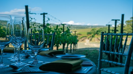 Turismul viticol, noua atracţie a acestui sezon estival