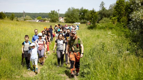 Campanie de conștientizare a plantelor străine invazive