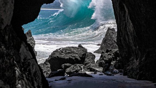 Cea mai veche pictură rupestră din lume, descoperită în Indonezia, prezintă oameni şi un porc sălbatic