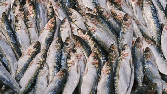 Rețeta zilei: Salată de hering, morcovi și mazăre