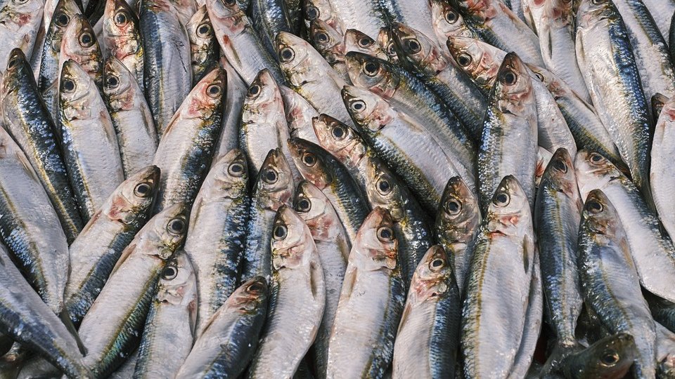 Rețeta zilei: Salată de hering, morcovi și mazăre