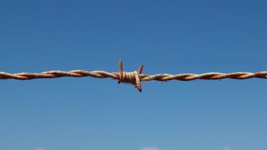 Ucraineni reţinuți la trecerea ilegală a frontierei