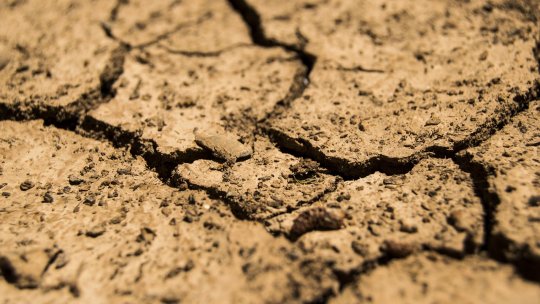Ministerul Agriculturii a prelungit perioada de depunere a cererilor de constatare a pagubelor produse de secetă