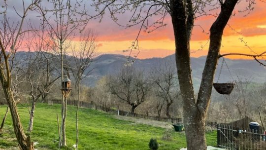 De la metropolă, la iarba verde de acasă: Povestea revenirii la origini