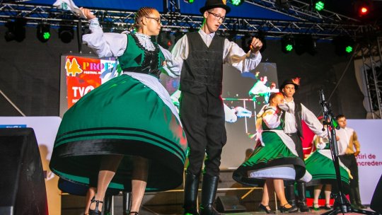 Zilele Culturale Maghiare