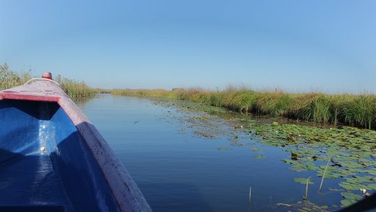 Accesul pe navele care asigură transportul zilnic spre Delta Dunării, îngreunat