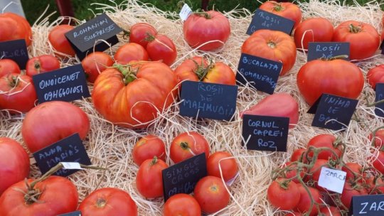 Roșia, fructul cu suflet de legumă: Din grădină, pe podium la Bruxelles