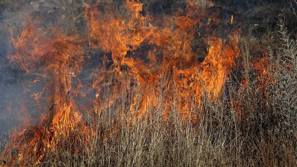Trei hectare de vegetaţie uscată cuprinse de flăcări la Suharău
