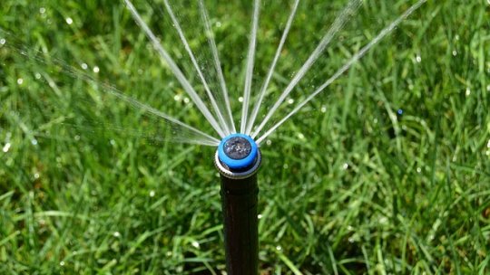 Importanța udării și irigării în pomicultură în condiții de secetă