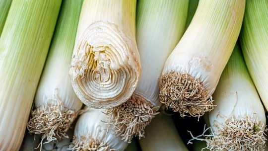 Păstrarea legumelor în stare proaspătă la nivelul gospodăriilor și fermelor: principii generale