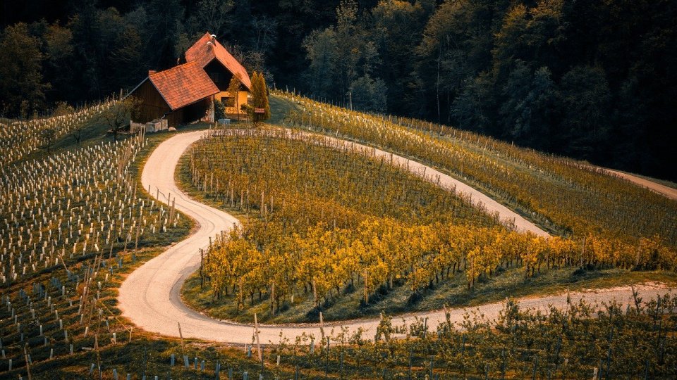 Rețeta pentru o planetă locuibilă: Obținerea de emisii nete zero în sistemul agroalimentar