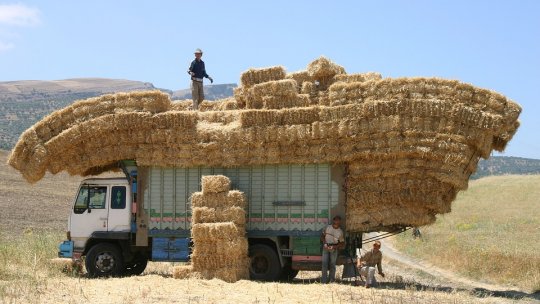 Ceea ce ne hrănește nu trebuie să ne facă rău
