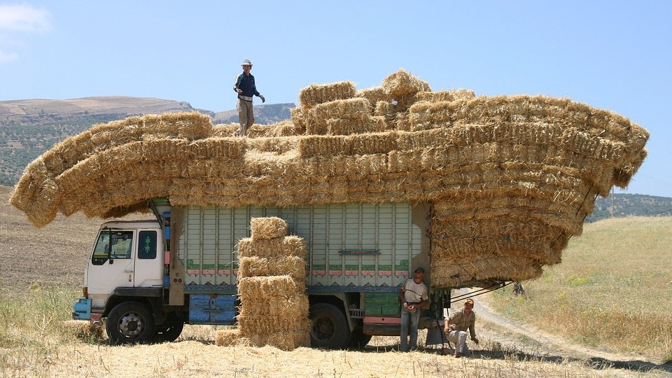Ceea ce ne hrănește nu trebuie să ne facă rău
