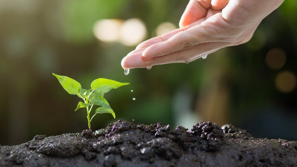 Planuri de investiții în agricultura inteligentă din punct de vedere climatic