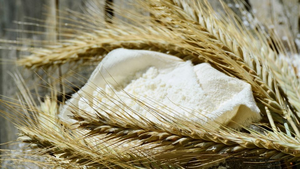 Răspunsul Băncii Mondiale la creșterea insecurității alimentare