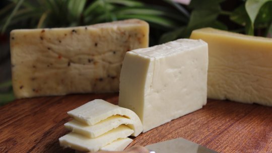 Unicul Festival European Bio revine în septembrie la Ibăneşti, Mureş