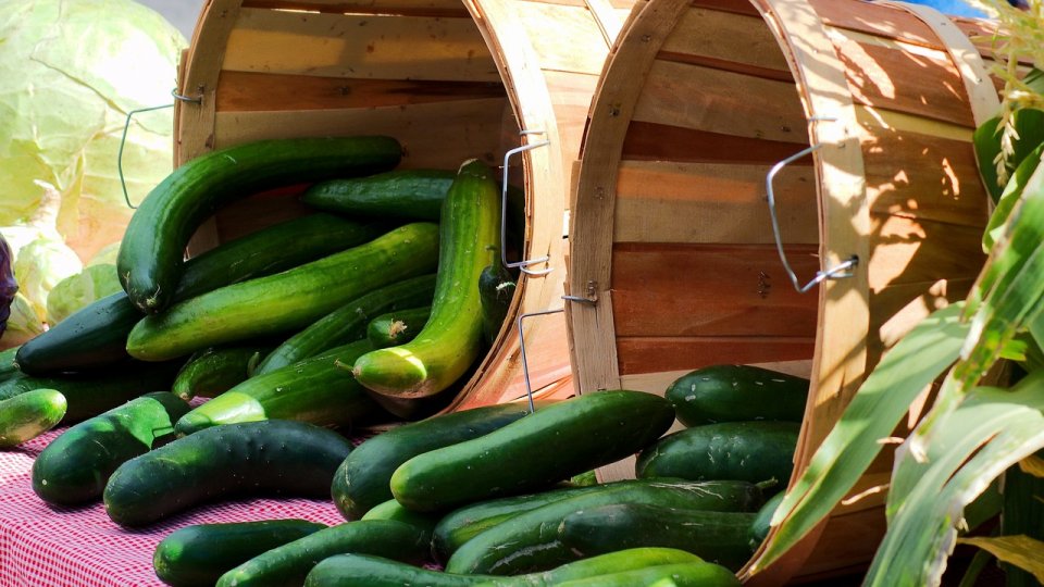 Observatorul lanțului agroalimentar al UE își începe activitatea pentru a restabili încrederea și a îmbunătăți transparența în lanțul alimentar