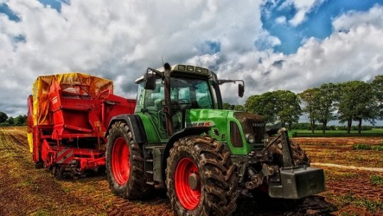 Perspectivele pe termen scurt ale piețelor agricole: incertitudinea rămâne o caracteristică constantă a agriculturii din UE