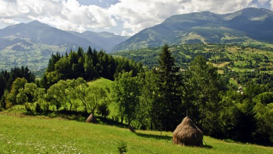 Parcul Național Rodna: O bijuterie a naturii românești