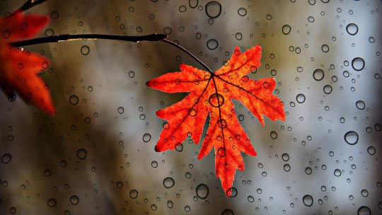 ANM: Cod galben de ploi torenţiale în 20 de judeţe şi în Bucureşti, miercuri; informare de averse până joi dimineaţa, în restul țării