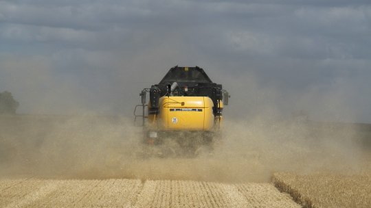 Experiența agricolă olandeză: „De două ori mai multă hrană folosind jumătate din resurse”