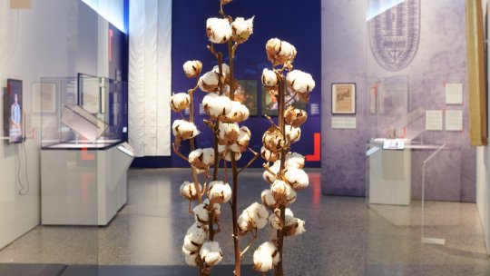 Istoria colonială a Elveției, scoasă pentru prima dată la iveală într-o expoziție-eveniment