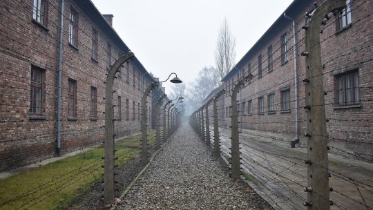 Hans Otto Roth, sasul care i-a reproşat personal lui Hitler politica antievreiască