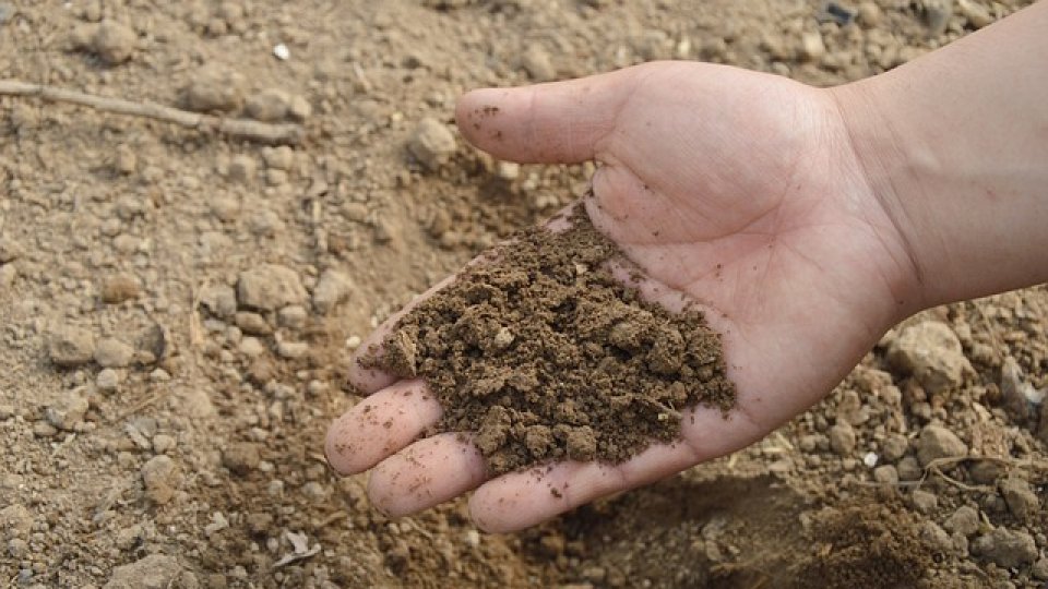 Tehnologii agroecologice de cultivare a terenurilor