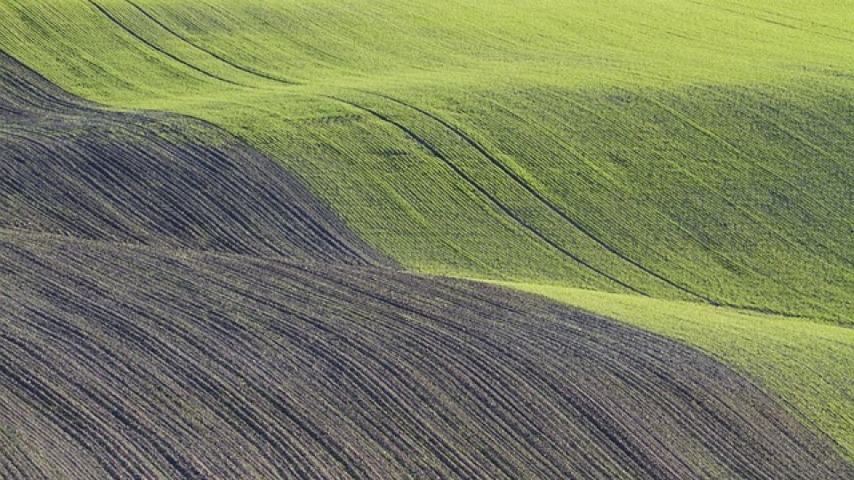 Toamna în agricultură