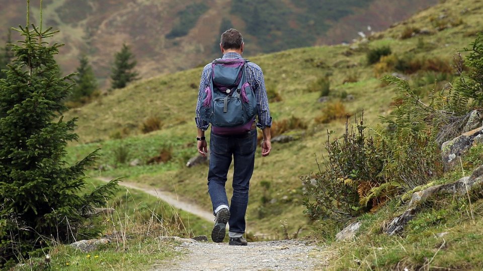 Dezvoltarea durabilă a zonei montane din România. Provocări și perspective