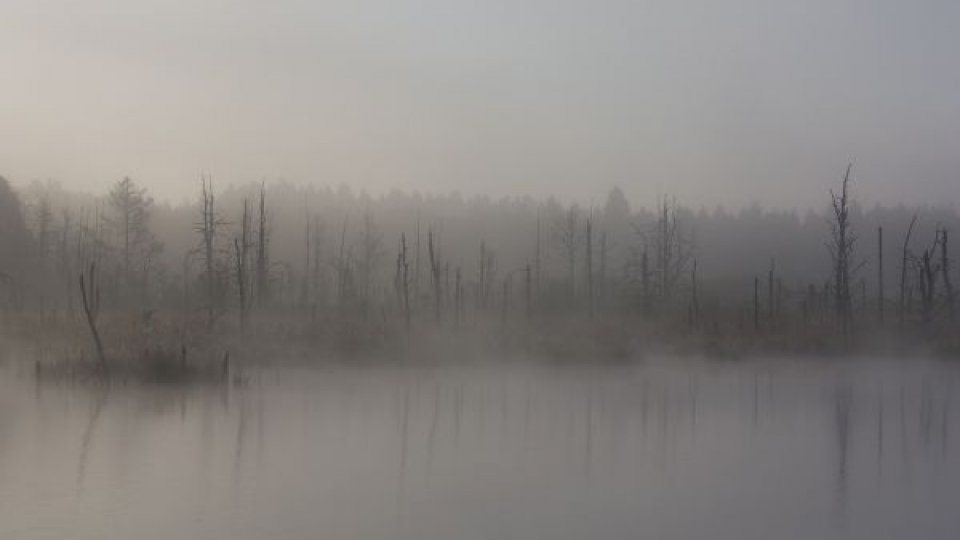 Efectele secetei în Buzău: Șapte lacuri naturale secate în doar zece ani