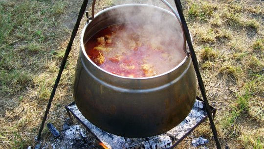 Descoperă tradiția și cultura la conferința națională a punctelor gastronomice locale din Tulcea