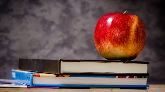 Covasna: Elevii vor primi doar mere şi produse de panificaţie; nicio firmă la licitaţia pentru lactate