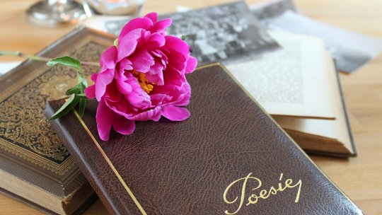 Festivalului Internaţional de Poezie - acces gratuit pentru public