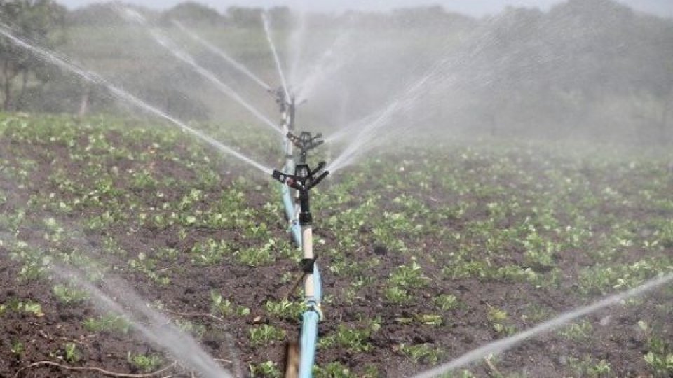 Irigațiile, cheia unei agriculturi moderne