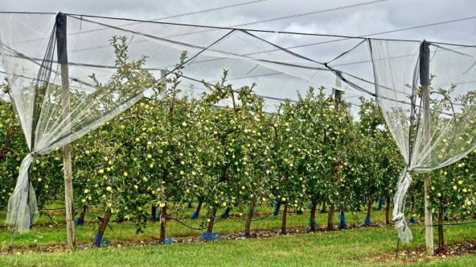 Agricultura românească în fața provocărilor