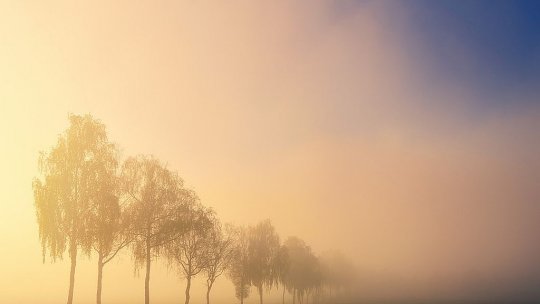 Polei şi burniţă, avertizări pentru mai multe judeţe