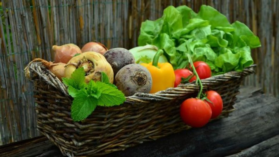 Uniunea Europeană promovează agricultura ecologică: România, un partener activ la BioFach Nuremberg 2025