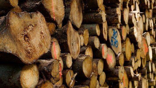 Sute de cereri pentru lemne de foc, la primăriile din judeţul Brașov