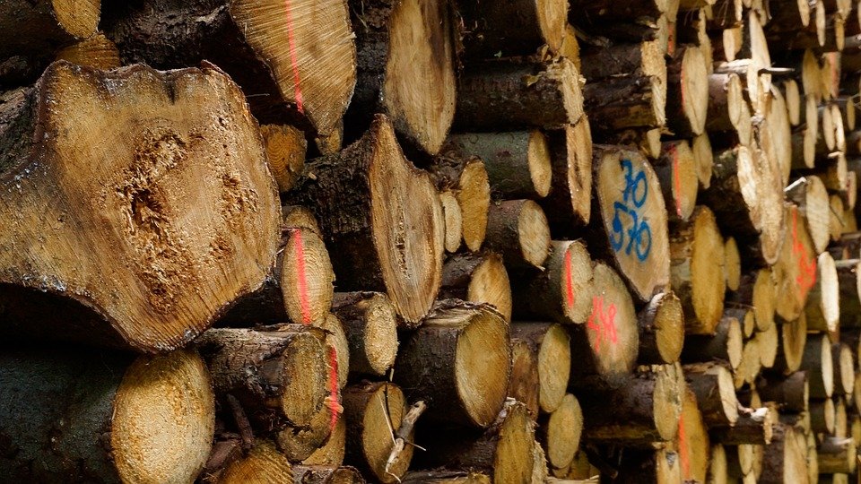 Sute de cereri pentru lemne de foc, la primăriile din judeţul Brașov